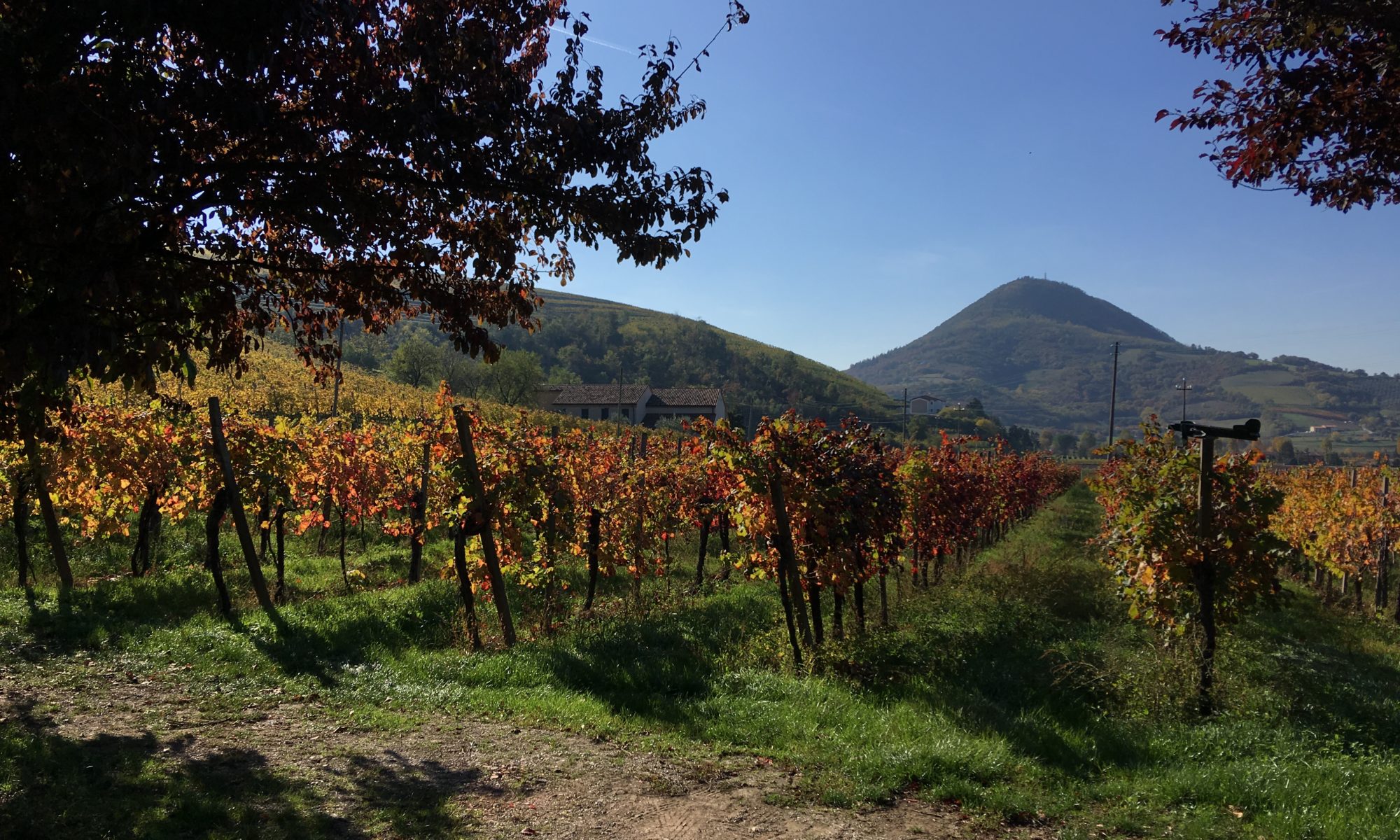 Autunno alle pendici del monteversa